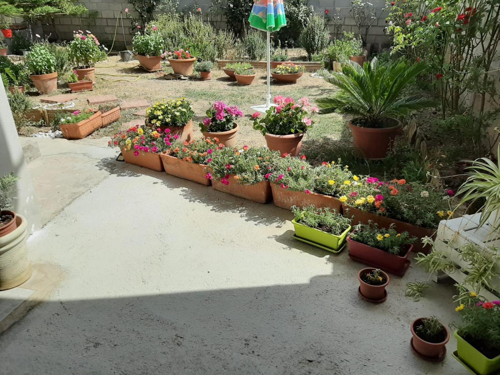 טאולאדה Casa Vacanze Millefiori Codice Iun Q3156 מראה חיצוני תמונה